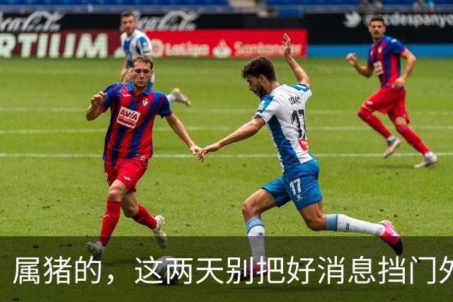 属猪的，这两天别把好消息挡门外